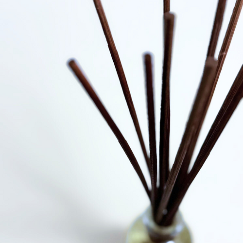 Bâtons de roseau pour diffuseur